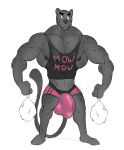  anthro big_bulge bulge clothed clothing felid hewge male mammal muscular muscular_male nipples pantherine pecs penis_outline simple_background solo standing underwear white_background 