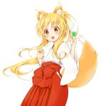  animal_ears blonde_hair blush bow brown_eyes clover four-leaf_clover fox_ears fox_tail hair_ribbon hakama holding japanese_clothes jinbara_tatsuichi long_hair looking_at_viewer miko open_mouth original ponytail red_hakama ribbon solo tail white_background wide_sleeves 