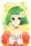  ahoge brown_eyes choker dress farah_oersted flower green_hair short_hair smile tales_of_(series) tales_of_eternia 
