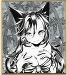  animal_ears bamboo bamboo_forest breasts brooch dated forest greyscale hands_on_own_chest imaizumi_kagerou jewelry large_breasts licking_lips long_hair long_sleeves looking_at_viewer monochrome mosho nature shikishi signature smile solo tongue tongue_out touhou traditional_media upper_body wolf_ears 