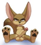  anthro balls barefoot big_ears canine disney erection fennec finnick fox front_view humanoid_penis jerseydevil looking_at_viewer male mammal pawpads penis reclining sitting solo spread_legs spreading tongue tongue_out uncut zootopia 