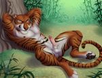  2016 abs animal_genitalia anthro balls disney erection feline fur grin humanoid_penis jungle looking_at_viewer lying male mammal navel nipples nude on_back orange_fur outside penis sheath shere_khan solo spartadog spread_legs spreading stripes talespin tiger tree whiskers yellow_eyes 