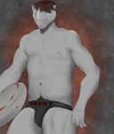 2016 abs anthro balls biceps bulge clothed clothing fur hair hi_res jockstrap looking_at_viewer male muscular navel nipples pecs penis simple_background smile solo standing topless underwear viciouspiano 