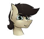  equine fan_character horse kappa looking_at_viewer male mammal marsminer my_little_pony pone_keith pony portrait solo 