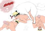  aizenhower akamaru all_fours armpit_hair backsack balls bent_over butt canid canine canis cum doggystyle domestic_dog edit from_behind_position fur human knot male male/male mammal naruto naruto_uzumaki orgasm penis sex 