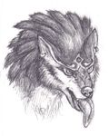  2016 ambiguous_gender canine ear_piercing feral fur link_(wolf_form) long_tongue mammal markings monochrome nude piercing simple_background sketch solo spectrumshift tongue tongue_out traditional_media_(artwork) white_background wolf 