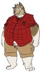  akita akita_inu anthro belly big_belly blue_eyes canid canine canis clothed clothing domestic_dog fully_clothed male mammal overweight shirt shorts solo standing 