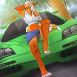  blue_eyes bra clothing conditional_dnp dragon female hair orange_hair palm_tree panties pose scappo skirt solo sports_car tree underwear white_hair 