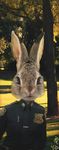  disney edit judy_hopps lagomorph mammal park photo_manipulation photoshop rabbit tom_daniel_idril zootopia 