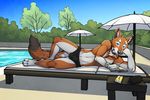  anthro bracelet briefs canine cellphone clothed clothing ethiopian_wolf fur jewelry looking_at_viewer lying male mammal necklace phone pool_(disambiguation) smile solo speedo swimsuit topless tsaiwolf umbrella underwear water wolf 