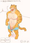  anthro balls biceps blush boxers_(clothing) clothed clothing colored feline japanese_text male mammal muscular pants_down pantsing partially_clothed pecs penis simple_background solo text tiger translation_request ujishiyo underwear underwear_down 