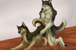  canine dog german_shepherd mammal toradoshi transformation 