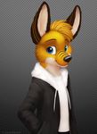  2016 anthro canine clothed clothing cute digital_media_(artwork) dotted_background fennec fox fur gradient_background hi_res hoodie jamesfoxbr looking_at_viewer male malfurim mammal pattern_background simple_background smile solo standing watermark 