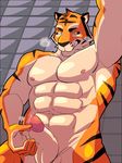  abs anthro balls colored erection feline male mammal muscular nude pecs penis precum solo tiger ujishiyo 