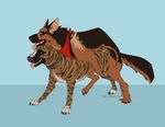  canine dog dogmeat fallout feral incorgnito mammal mastiff sex simple_background video_games 