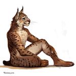  2016 anthro cat feline fur lynx male mammal nude simple_background smile solo trunorth 