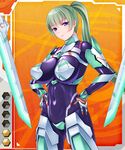  1girl bodysuit breasts green_hair infini_brain large_breasts leana_freed ponytail taimanin_(series) taimanin_asagi taimanin_asagi_battle_arena vuccha warrior 