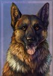  2016 ambiguous_gender black_eyes black_nose blue_background brown_fur canine dog english_text feral fur german_shepherd looking_at_viewer mammal nude open_mouth orange_sclera realistic sharp_teeth signature silverbirch simple_background solo teeth text tongue tongue_out 