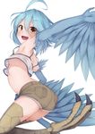  :d ahoge armpits ass bird_wings blue_hair blue_wings breasts brown_eyes eyebrows_visible_through_hair feathered_wings feathers harpy highres looking_at_viewer monster_girl monster_musume_no_iru_nichijou no_bra open_mouth outstretched_arm papi_(monster_musume) rerrere scales short_shorts shorts simple_background small_breasts smile solo talons thighs underboob upshirt white_background winged_arms wings 