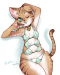  artist_request bra cat furry green_eyes multiple_breasts multiple_nipples one_eye_closed open_mouth 