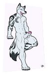  2014 anthro canine erection fur longblueclaw looking_at_viewer male mammal nipples nude penis rex_wusky simple_background white_fur wusky 