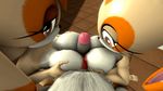  3d_(artwork) animated anthro areola big_breasts breasts cgi cream_the_rabbit darksorm digital_media_(artwork) double_titfuck erect_nipples erection female group hedgehog huge_breasts lagomorph male male/female mammal mature_female nipples nude penis rabbit sex silver_the_hedgehog sonic_(series) titfuck vanilla_the_rabbit 