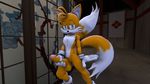  3d_(artwork) anthro balls canine cgi darksorm digital_media_(artwork) erection fox male mammal miles_prower penis solo sonic_(series) 