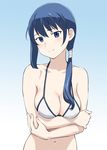  bikini_top blue_eyes blue_hair breasts cleavage hai_to_gensou_no_grimgar long_hair medium_breasts merry_(grimgar) navel ponytail solo ueyama_michirou upper_body 