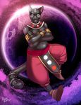  angrboda beerus cosplay dragon_ball dragon_ball_z male navel rubber slightly_chubby solo space 