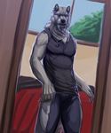  2012 5_fingers anthro biceps black_nose blue_eyes canine claws clothing fenrir_(rrowdybeast) first_person_view fur hi_res inside jewelry looking_at_viewer male mammal mirror muscular muscular_male necklace pants pecs reflection rrowdybeast shirt solo standing tank_top white_fur window wolf 