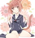  anchor animal_ears bangs brown_eyes brown_hair cat_ears cat_tail dress flower kantai_collection kemonomimi_mode long_sleeves looking_at_viewer navy_blue_legwear no_hat no_headwear parted_lips paw_pose sailor_collar sailor_dress shijima_(sjmr02) short_hair simple_background socks solo tail uniform z3_max_schultz_(kantai_collection) 