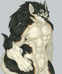  abs anthro biceps big_muscles black_fur black_nose blue_eyes bulk canine cream_fur flakjacket0204 fur grey_background hi_res huge_muscles link_(wolf_form) male mammal markings muscular muscular_male nintendo pecs simple_background video_games wolf 