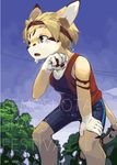  blonde_hair blue_eyes brown_nose bulge clothed clothing feline fur hair headband hi_res low-angle_view male mammal nn_197069 open_mouth outside shirt shorts sky solo spats sport standing stripes sweat tank_top tree yellow_fur young 