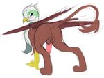  2016 absurd_res animal_genitalia anus avian balls bird blush butt clothing crossgender diction feathered_wings feathers friendship_is_magic fur greta_(mlp) gryphon hi_res looking_at_viewer looking_back male mammal my_little_pony open_mouth penis scarf solo wings 