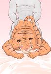 abs absurd_res anal bed blush butt butt_grab colored feline hand_on_butt hi_res male male/male mammal muscular nude pecs pink_background simple_background tiger ujishiyo 