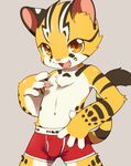  4_fingers boxers_(clothing) brown_eyes brown_fur bulge clothing cub feline fur male mammal open_mouth simple_background solo standing tiger underwear white_fur yellow_fur young ライル_(artist) 