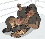  ape arena boarred domination forced gorilla male male/male mammal penis precum primate rape rat rodent wrestling 