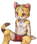  4_fingers blush boxers_(clothing) brown_eyes brown_fur bulge clothing cub feline fur male mammal open_mouth simple_background sitting solo tiger underwear white_fur yellow_fur young ライル_(artist) 