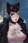  1girl batman_(series) body_writing breasts breasts_outside cat_hood catwoman dc_comics eva_solo goggles looking_at_viewer nipples open_clothes solo 