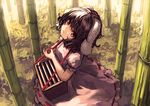  animal_ears bamboo berabou black_hair box bunny_ears donation_box dress from_above grass head_tilt inaba_tewi looking_at_viewer looking_up outdoors pink_dress puffy_sleeves red_eyes red_ribbon ribbon ribbon_trim short_hair solo sunlight touhou 