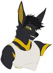  2015 anthro anubis anubislivess black_fur black_hair bust_portrait canine clothed clothing deity ear_piercing fur grin hair jackal looking_at_viewer male mammal piercing pollo-chan portrait simple_background solo white_background 