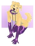  2018 anthro canid canine canis claws clothing collar digital_media_(artwork) doggadee domestic_dog fur gloves golden_retriever leash looking_at_viewer male mammal rubber smile solo 