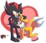  male male/male miles_prower oral senshion sex shadow_the_hedgehog sonic_(series) 