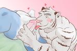  &lt;3 blush butt canine colored erection feline fellatio male male/male mammal muscular nude oral pecs penis pink_background precum sex simple_background tiger tongue tongue_out ujishiyo wolf 