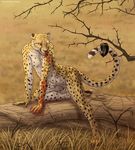 2015 cheetah feline female kinisi mammal nude tacimur tape world_of_darkness 