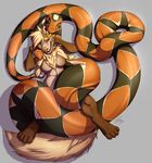  anthro breasts canine coiling coral_(rismic) featureless_breasts female female/female ficus hood licking long_tail mammal naga reptile scalie smile snake stripes thick_tail tongue tongue_out yellow_eyes 