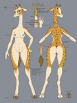  &lt;3 anthro breasts butt ecmajor female giraffe green_eyes hooves looking_at_viewer mammal model_sheet nipple_piercing nipples nireba_(kyvinna) piercing pussy solo text wide_hips 