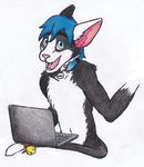  cat computer feline gift laptop maho-gato male mammal zexiongs 