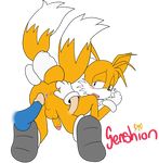  male male/male miles_prower presenting senshion sonic_(series) sonic_the_hedgehog 