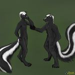  male mammal merging skunk unstableimagination 